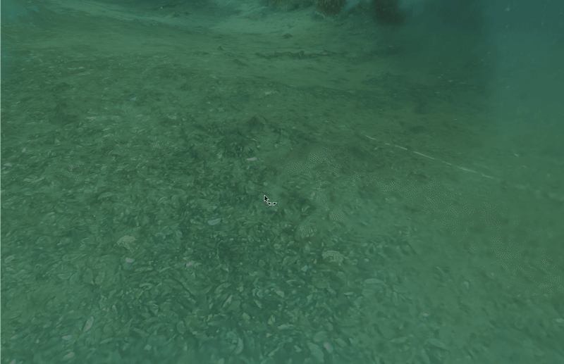 3D model created with Agisoft Metashape